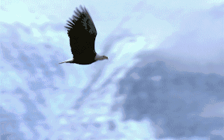 上市公司动态 赛力斯H股上市获证监会备案协创数据、双林股份推进公司H股上市进程